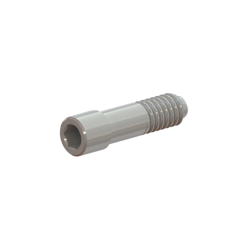 Fixation Screw
